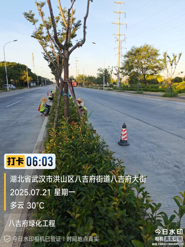 八吉府大街（青化路～临江大道）改造工程